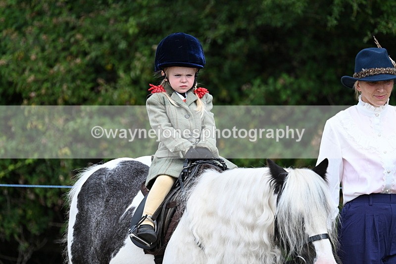 WJ7_6747 - Class 1 Lead Rein Pony