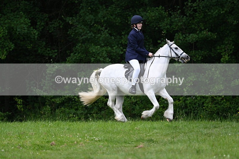 WJ7_2002 - Class 12A Coloured Class