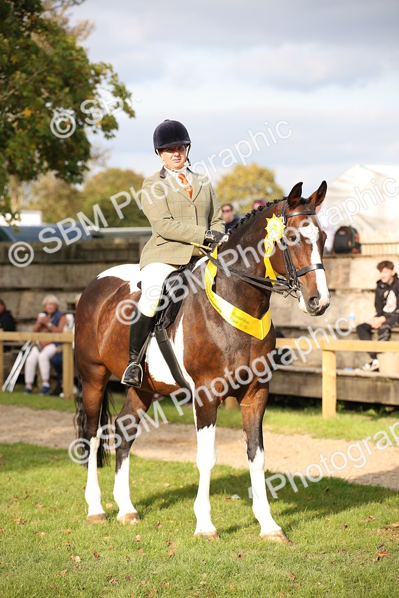 SBM_50248 - S26 - Young Veteran - Ridden