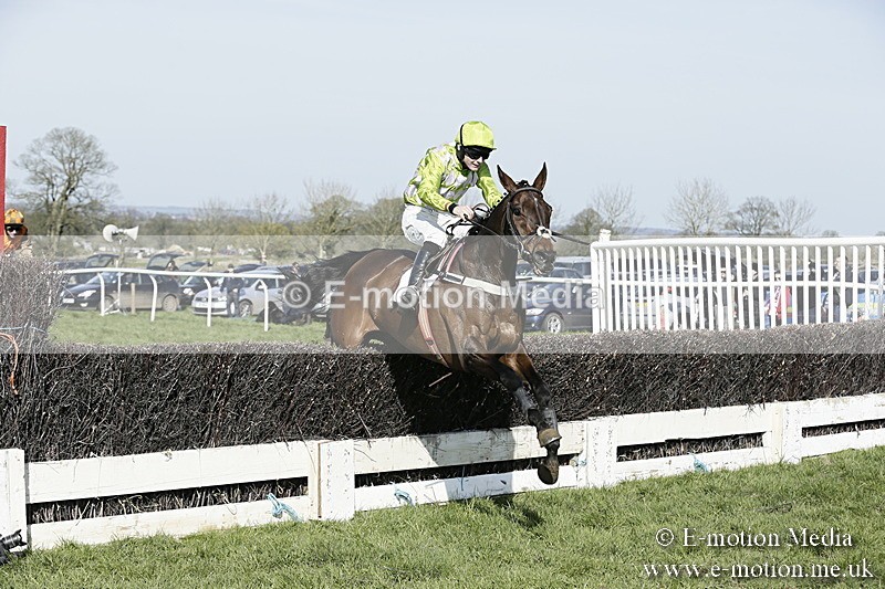 PtP 260317 283 - Mendip Farmers Point-to-Point Ston Easton 26/03/17