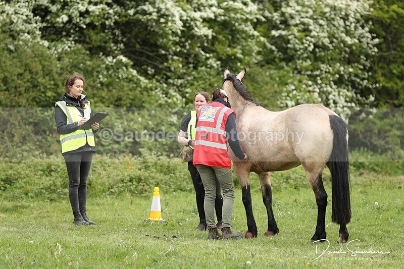 DSP29626 - Venue & Vetting