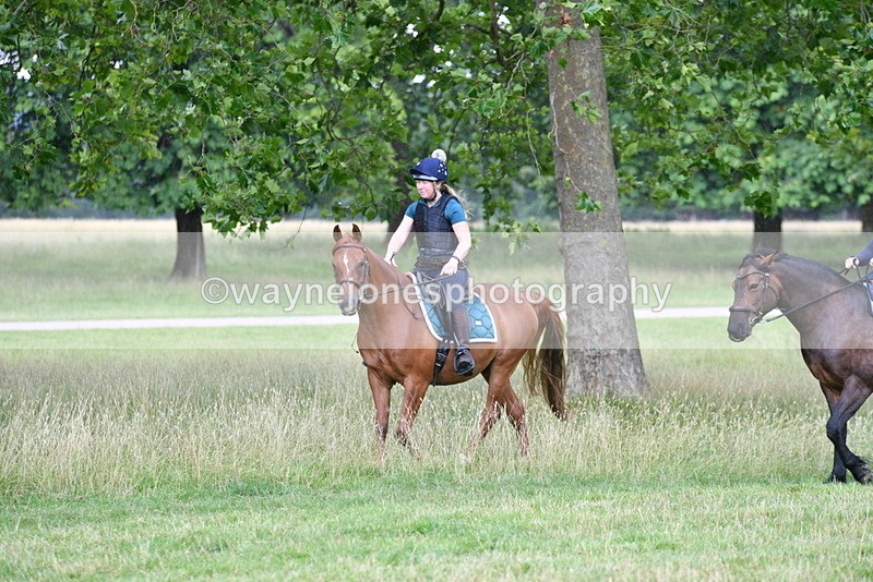 WJ5_2289 - Time at Jump 14:02 to 14:46