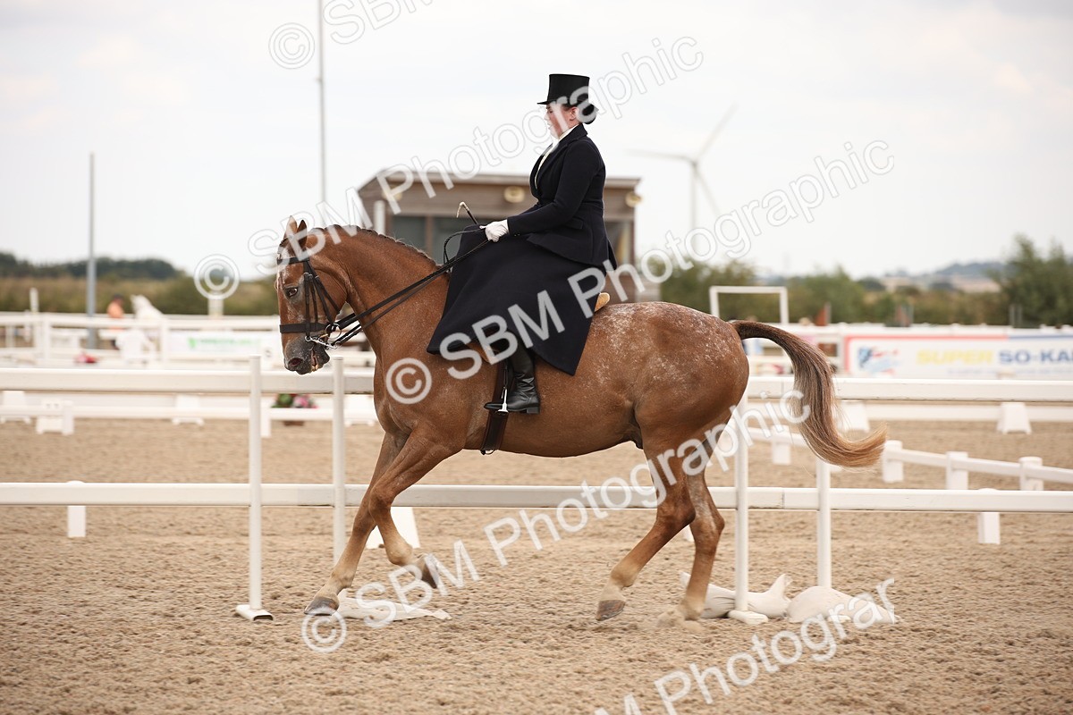 SBM_05364 - Class 22 SSA Equitation