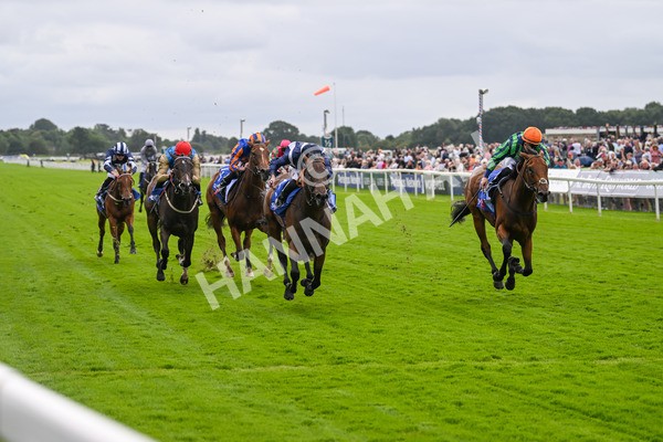 220824-Race 1-Celandine-6588 - Race 1 1.50pm Sky Bet Lowther Stakes
