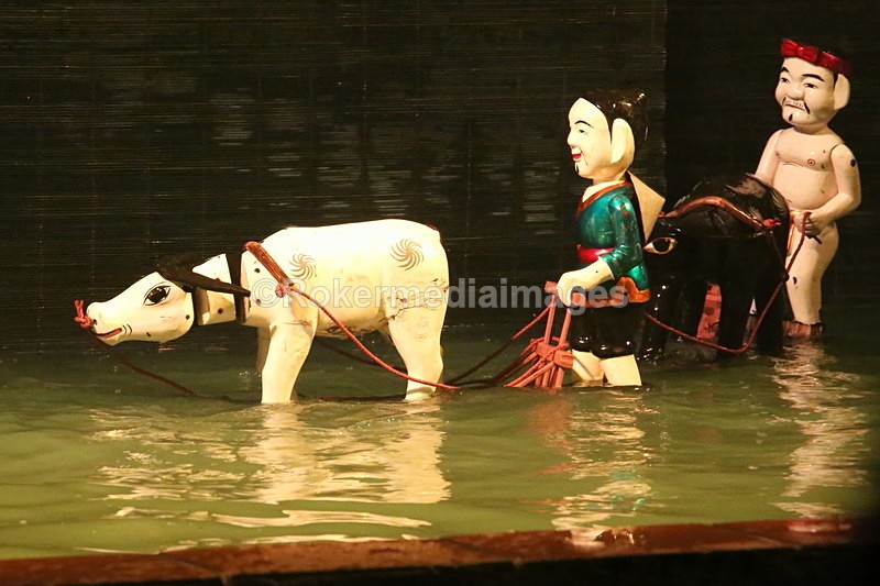 VIET_1059 - Vietnam 2017