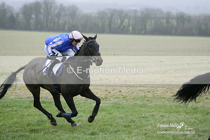 PtP 200222 803 - Countryside Alliance PtP Badbury Rings 20/02/22