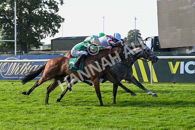 300824-Race 7-The Crafty Mole-6501 - Race 7