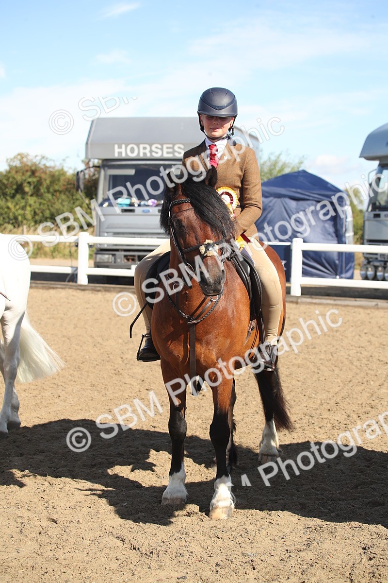 SBM_12784 - Class 504b - Junior Working Veteran - 40cm (20+)