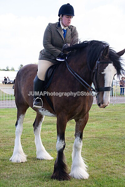 DSC_0227 - Ring 1