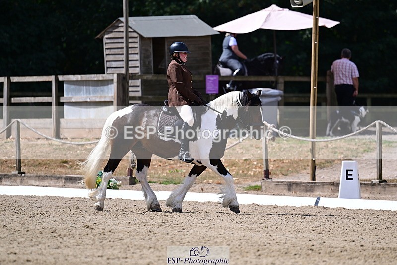 260802A-115150-06456 - Novice Bronze break - end