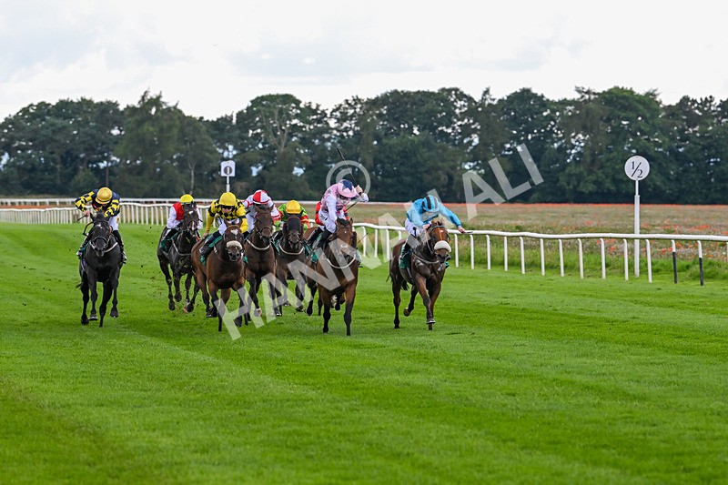 170724-Race 3-Ingleby Archie-9919