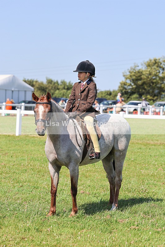 IMG_1921 - Class 33: Show Pony 148cm and under