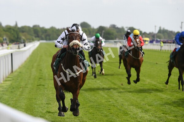 yr13052022r5-29 - Race 5 4.10pm Paddy Power 'Fill Thi Boots' Stakes