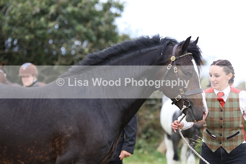 3E7A4227 - Class 15: Two Year Olds