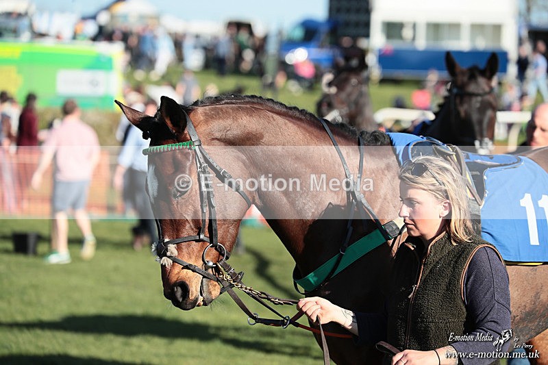 PtP 210326 916 - VWH Cirencester Races 21/03/26