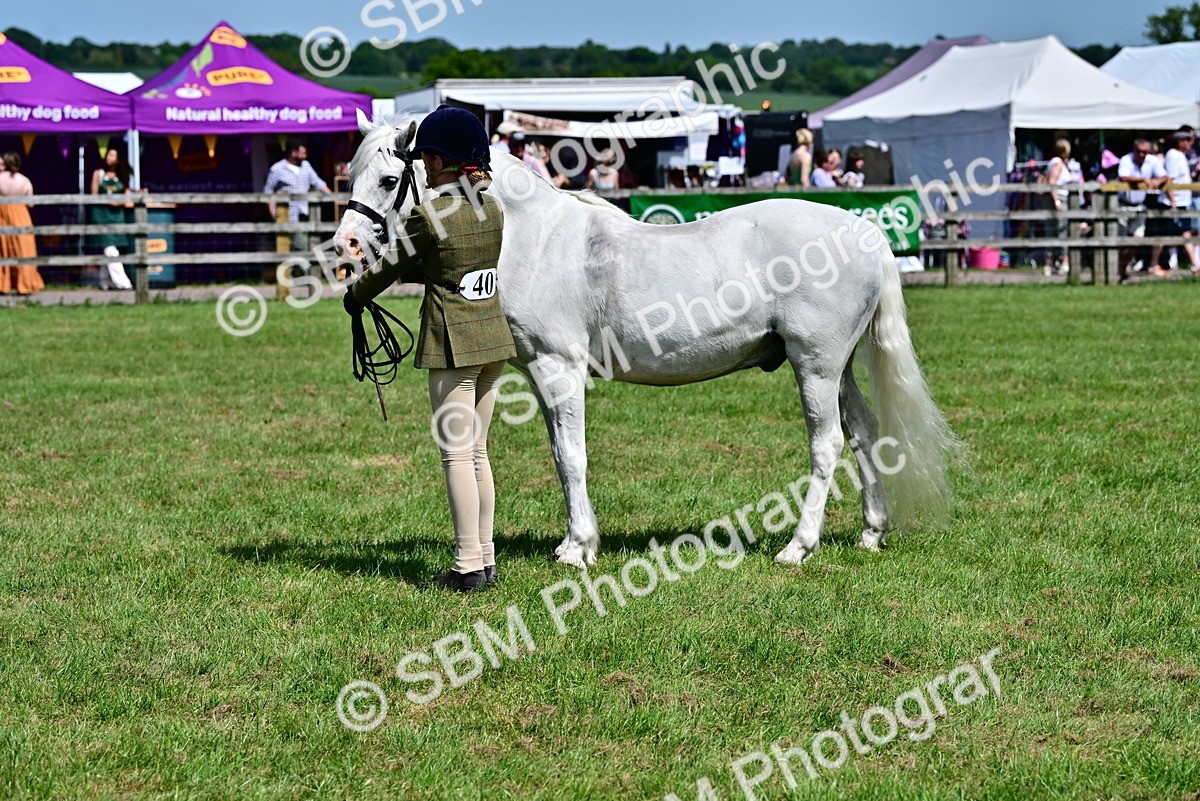 SBM_07820 - Class 61-62 - TSR  M&M Ridden Amateur of the Year