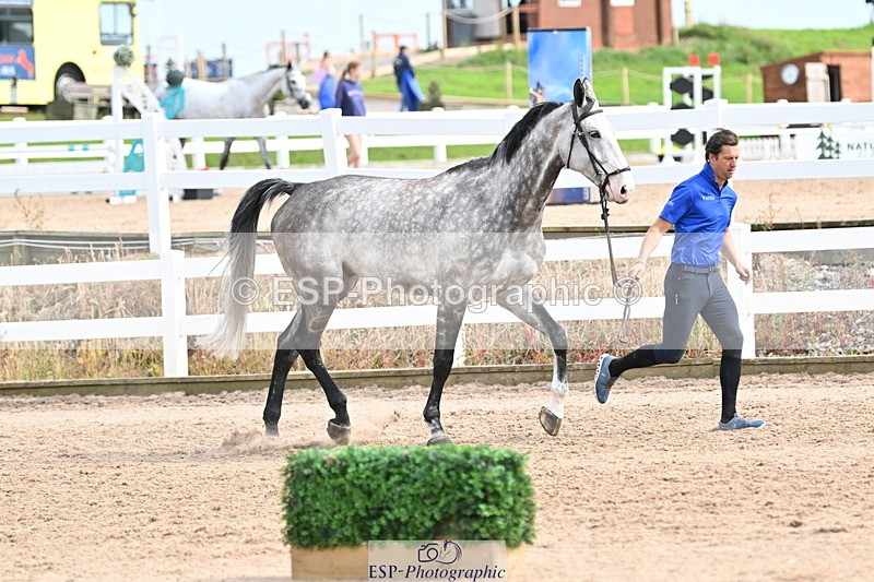 240717A-164233-03484 - Trot Up 4pm to 5pm