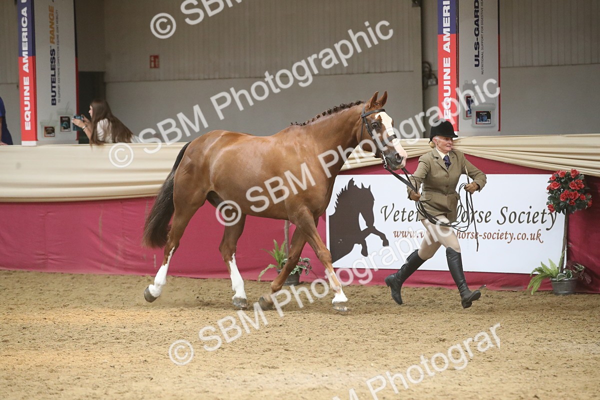 SBM_05511 - Class 9R - Regional IH Pre-Vet