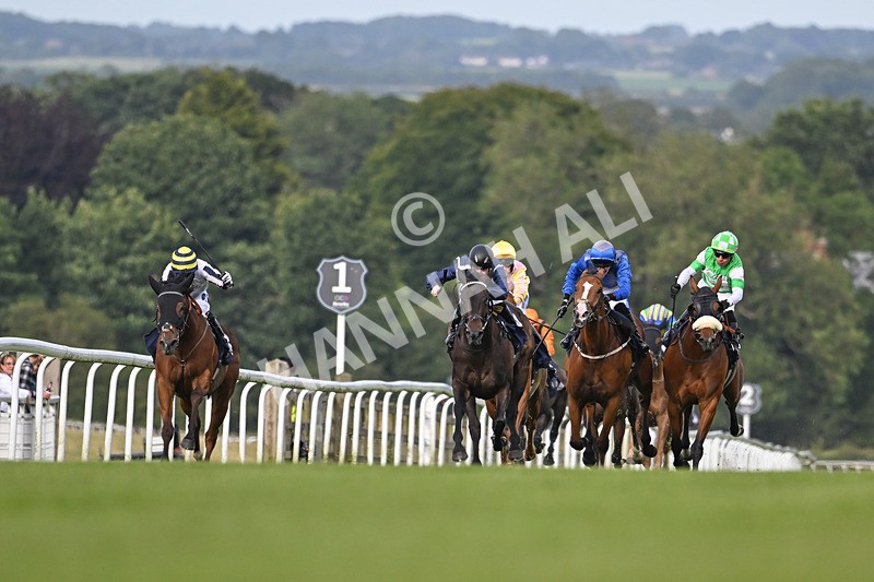 050724-Race 3-Organic-0581 - Race 3