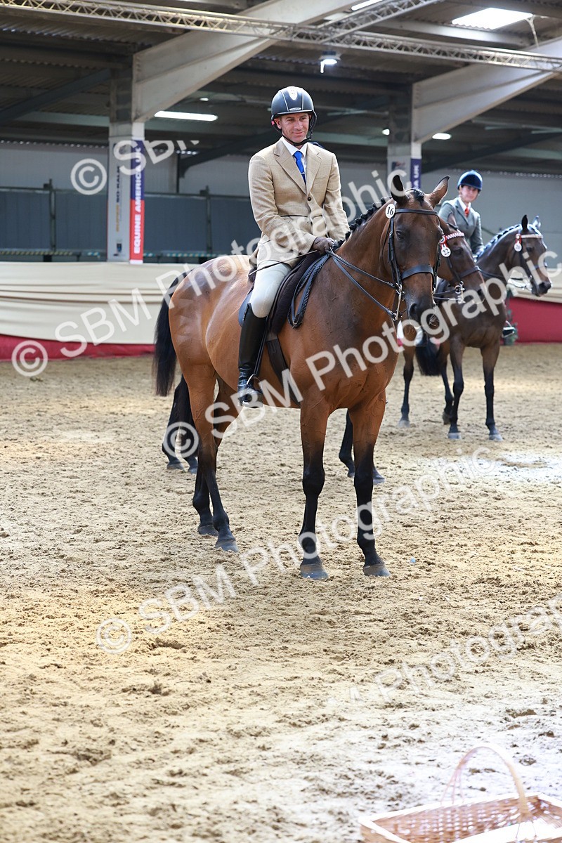 SBM_14976 - Class 108 - Ridden Retired Racehorse