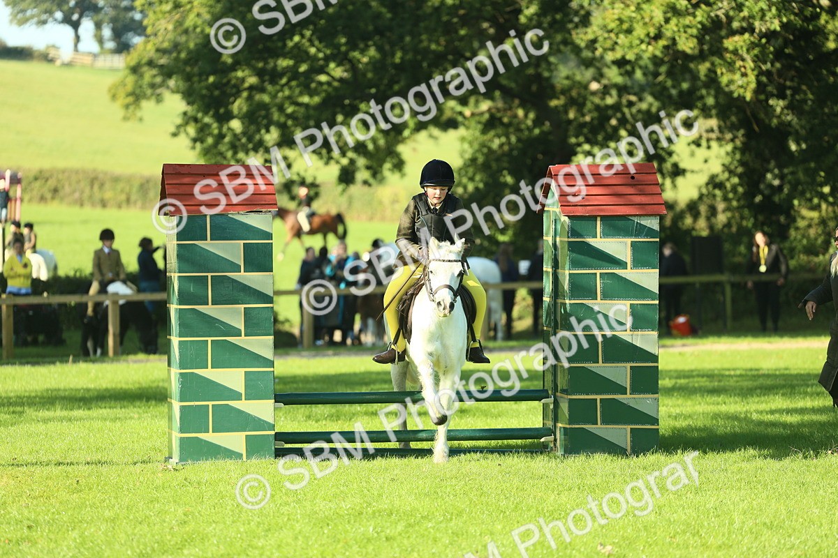 SBM_36309 - S29 - Novice & Newcomers Working Hunter Pony