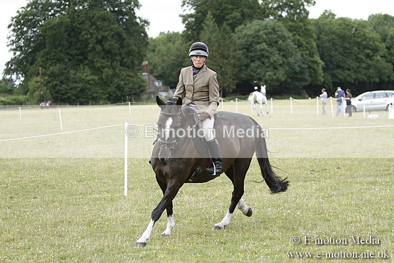 BVR160717-1841 - Ring 3 BVRC Show 16/07/17