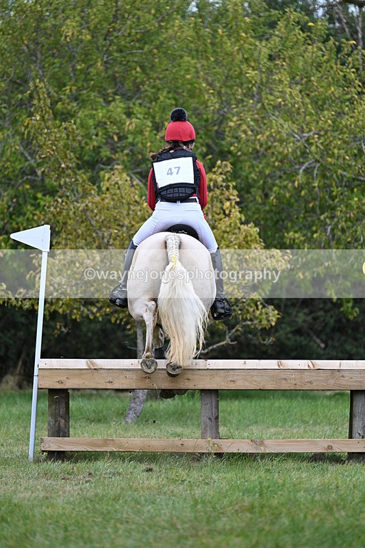 WJ7_8413 - 80cm XC Time 15:45 to 16:02