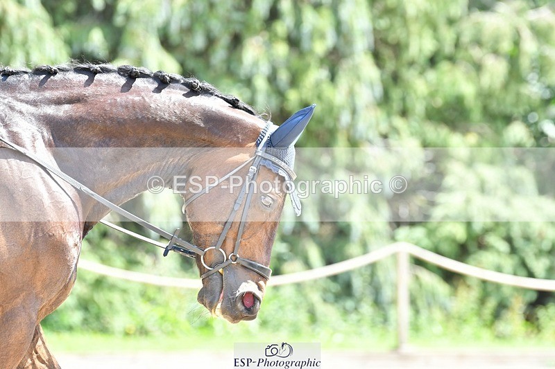 230623-135814-00875 - Cls 5 Elementary 43