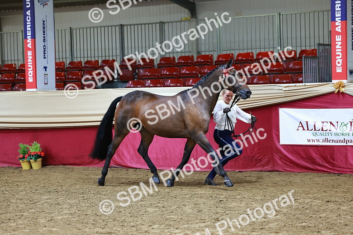 SBM_22150 - Class 902 - Supreme Final - IH Diamond