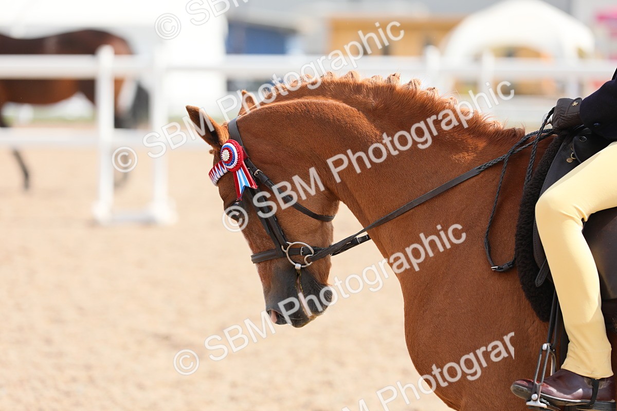 SBM_14755 - Class 310 First Ridden Pony