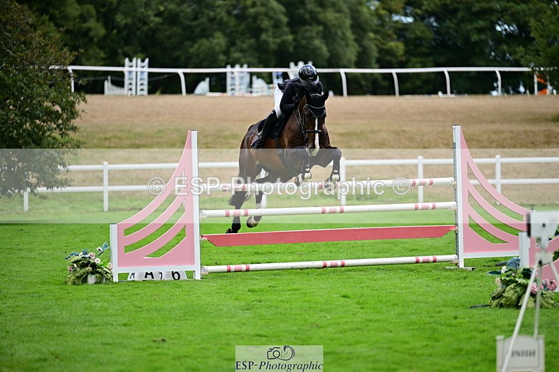 2026-08-21A-DSC_4505 - Cls 2 Snr Foxhunter