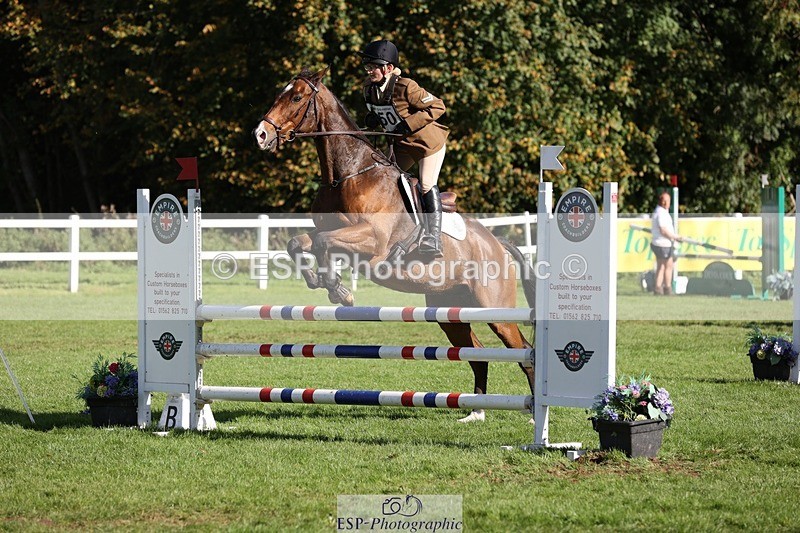231022-125533-27409 - 450-NORDIC.FIRE-Lara.Hails-TrotUp+SJ