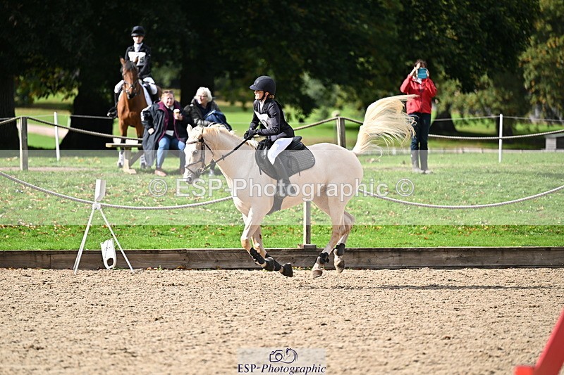 251005A-135522-04214 - Cls 09 Nov 80-85cm