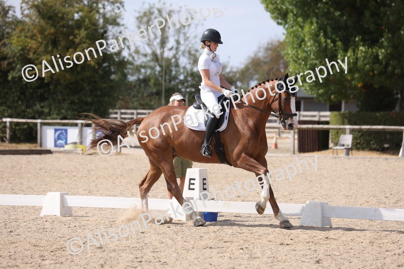 20260815-1136 - Class 6 - Novice 2