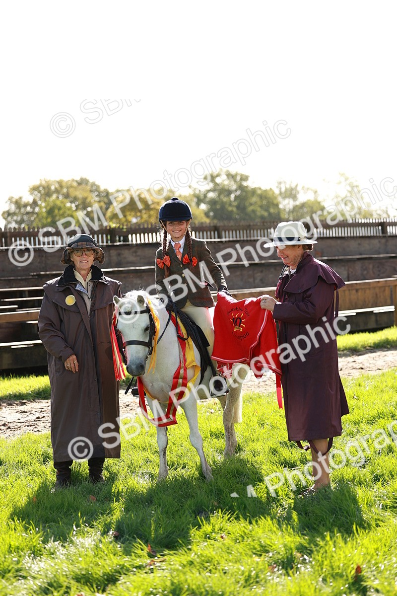 SBM_42180 - S32 - Mountain & Moorland Working Hunter Pony