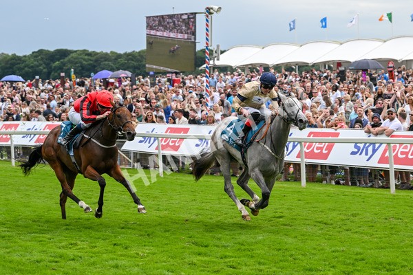 270724-Race 4-Greydreambeliever-7258 - Race 4 4.00pm Sky Bet Club EBF Fillies' Novice Stakes