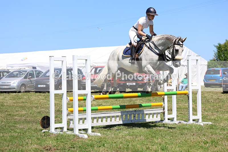 3E7A5466 - Class 9: Senior British Novice/90cm open