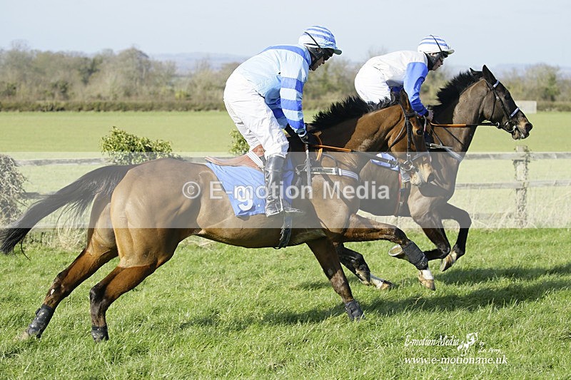 PtP 260222 576 - Kingston Blount Racing Club Point-to-Point 26/02/22