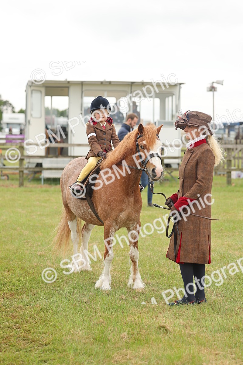 SBM_06793 - Class 74-75 - M&M Lead Rein and First Ridden Pony