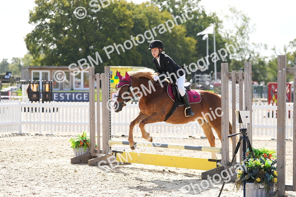 SBM_17993 - J58 - Clear Round 50cm