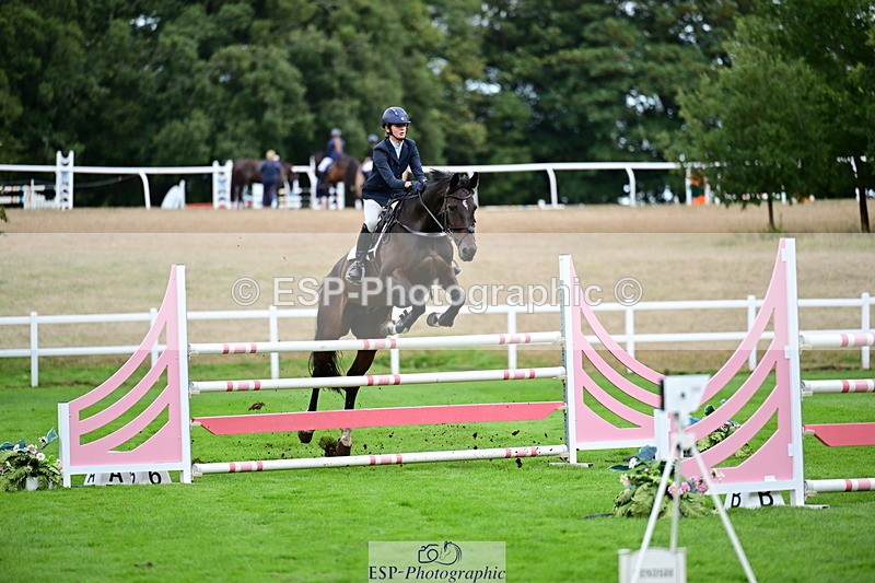 2026-08-21A-DSC_4459 - Cls 2 Snr Foxhunter