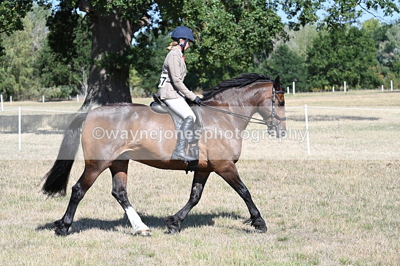 WJ7_3942 - Class 9 Mountain & Moorland Ridden