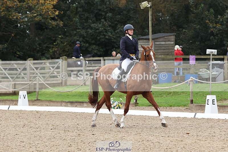 241024-141702-03811 - 160-Gaby.Bull-MILESTONE.GOLD