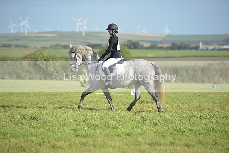 RAY_7384 - Class 2B: Trekenning Open: Dressage