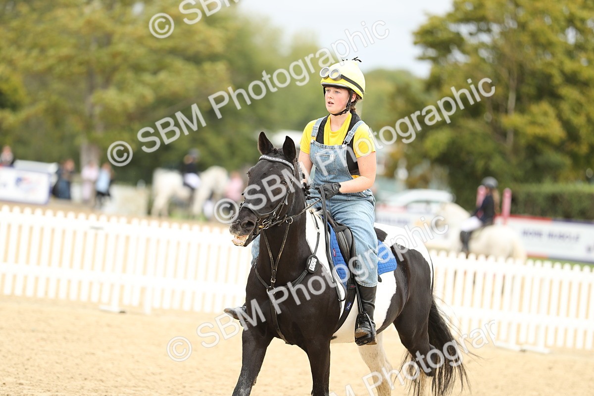 SBM_65657 - J48 - Pairs Jumping Open 70cm & 85cm