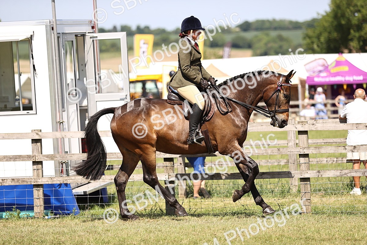 SBM_17991 - Class 81-83 - TSR Ridden Amateur of the Year - Horses
