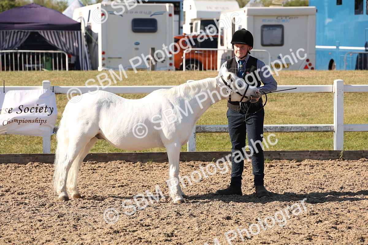 SBM_11730 - Class 204 - Young Handler 11 to 16 years