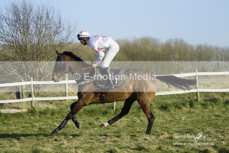 PtP 270222 467 - South & West Wilts Point-to-Point Larkhill 27/02/22