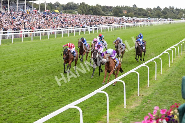240824-Race 1-See The Fire-8880 - Race 1 1.50pm Sky Bet Strensall Stakes