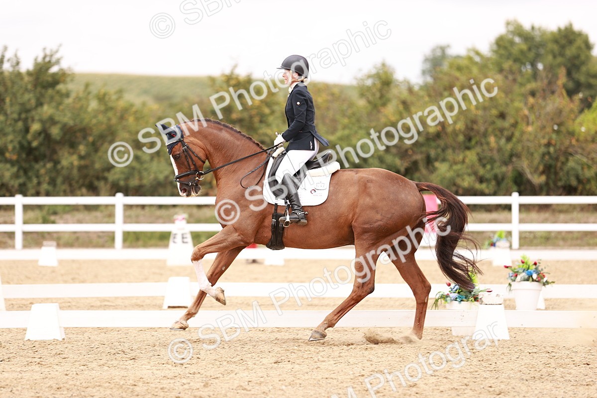 SBM_019270 - Class 20 - Medium 5